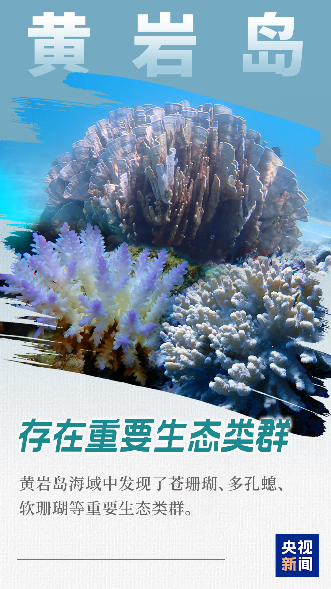 颜值实力并存！空中、水下沉浸式看黄岩岛