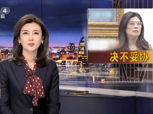 【海峡两岸】郑丽文：对赖当局司法打压决不妥协