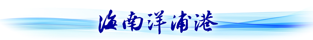 循着总书记关切，看西部陆海新通道建设新貌