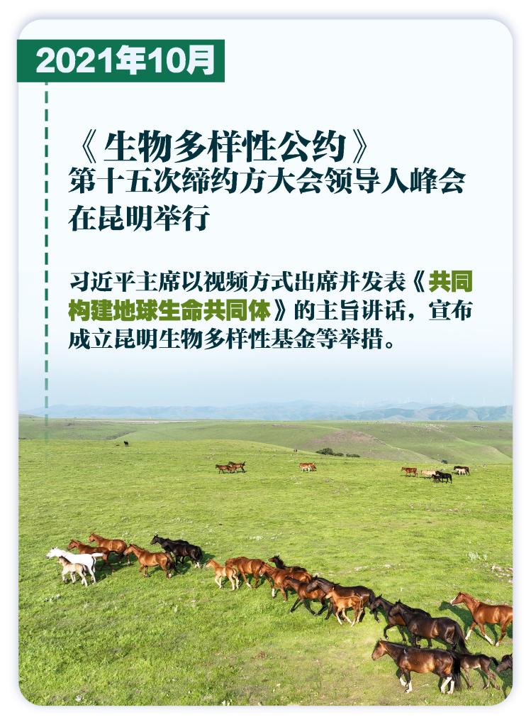 这些大事件，铭刻生态文明建设壮阔历程