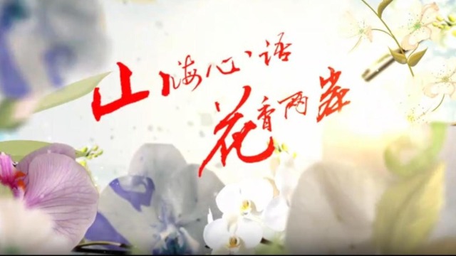 云南首部两岸花卉文旅微短剧《山海心语 花香两岸》（第六集）_fororder_截图录屏_选择区域_20251127154727