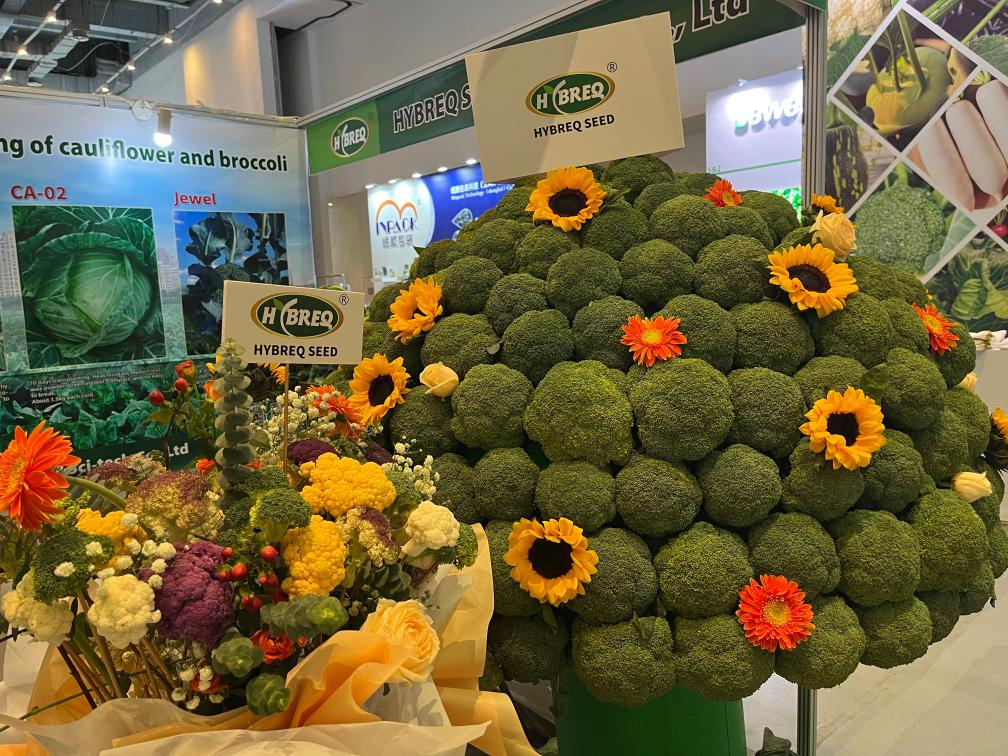 亚洲种子大会：“新奇特优”“尖端技术”催热种业国际合作