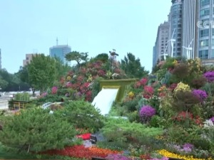 北京国庆限定款花坛“上新” 一花一景间藏着多处创意巧思