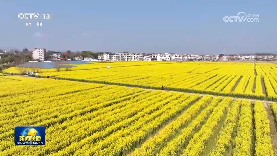 各地以实干实绩推动高质量发展