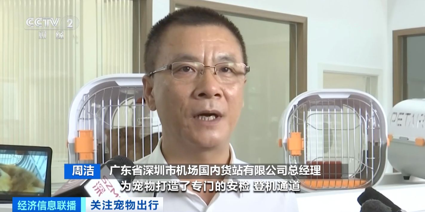 猫狗分区 独立候机 全国首家宠物候机厅在深圳机场启用