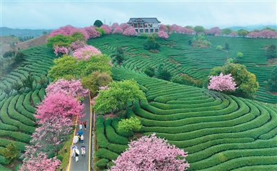 台商台企新春奋战劲头足—— “在大陆投资兴业，我们倍感踏实！”