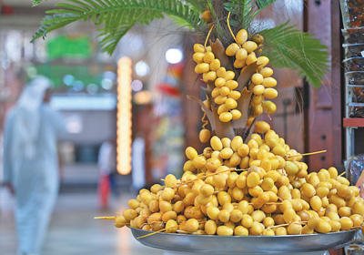 科威特迎来椰枣收获季