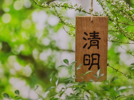 “每逢清明，这细细密密的雨便将两岸同胞最深沉的思念连接在一起”