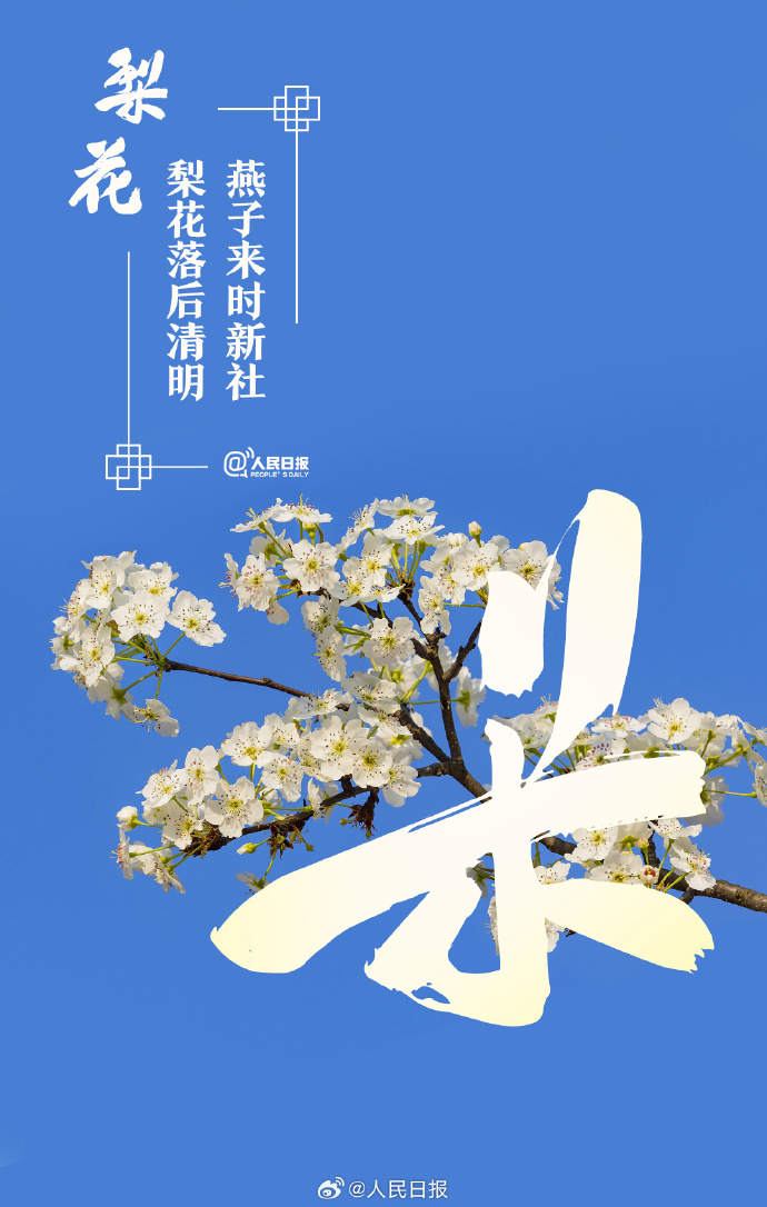 收藏美好！当汉字与春天不期而遇