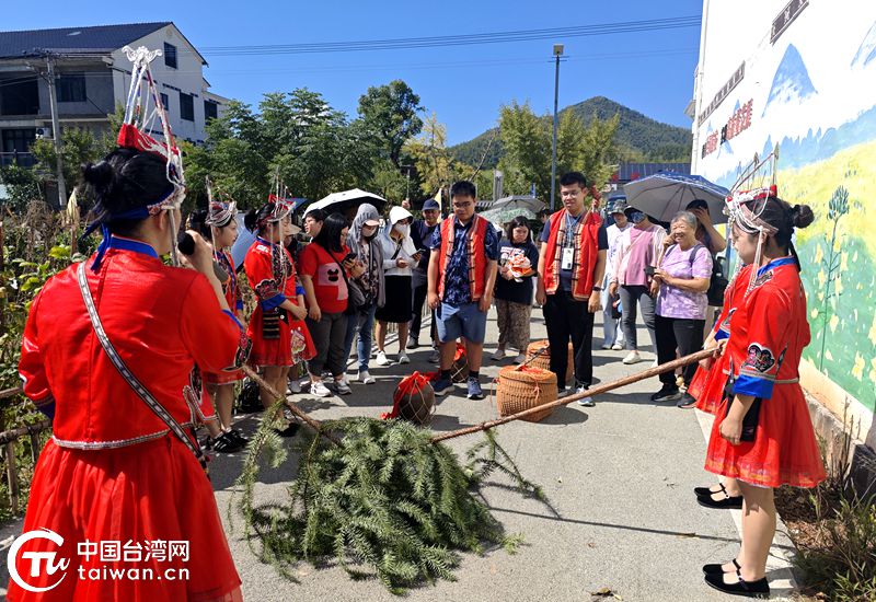 台青龙泉文化行：共赴非遗之约 续写两岸深情