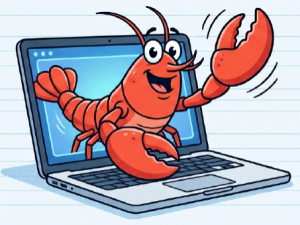 无安全，不“养虾”！