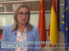 国际人士：高市早苗错误言论严重损害地区稳定