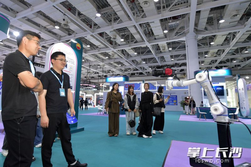 逛2024中国新媒体技术展，体验“文化+科技”的探索之旅