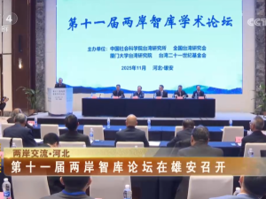 【海峡两岸】：第十一届两岸智库论坛在雄安召开