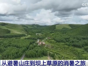 “清凉经济”让夏日文旅消费活力持续迸发 避暑游解锁N种“打开方式”