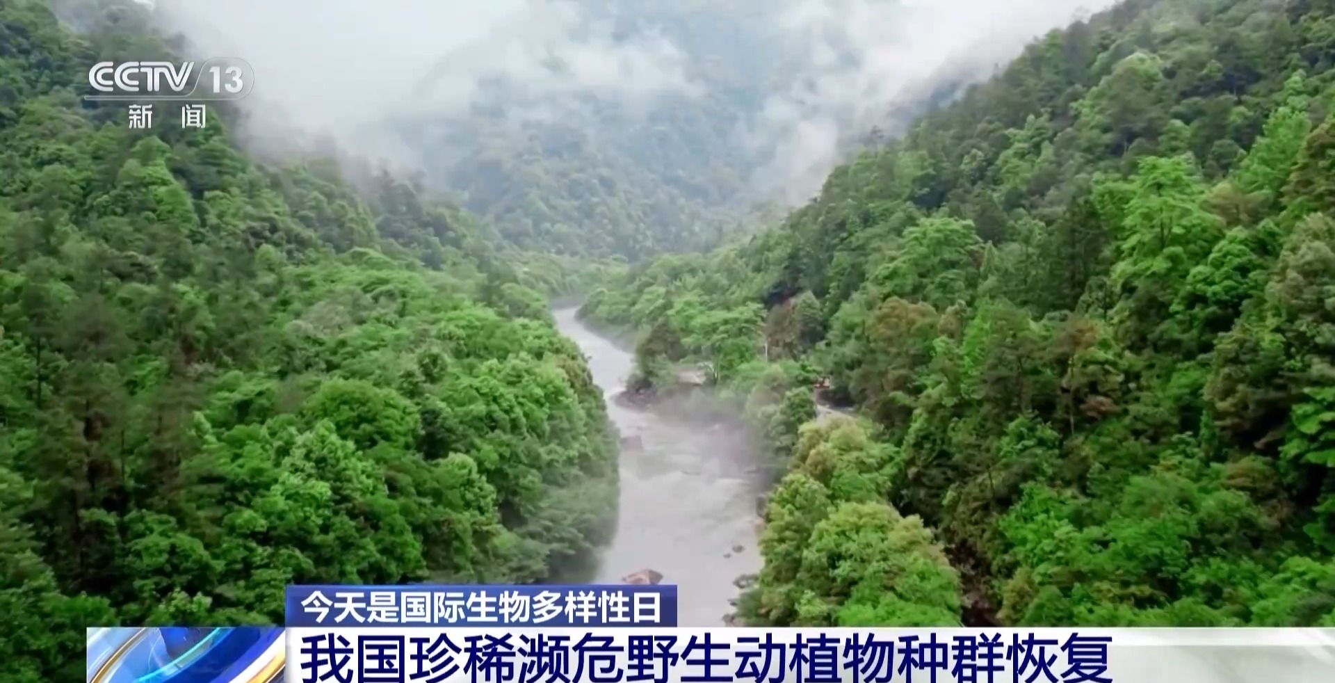 中国生物多样性保护成效如何？这份“成绩单”亮了