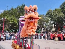 澳门龙狮齐舞贺新春 民俗表演年味浓