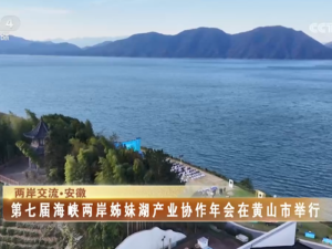 【海峡两岸】第七届海峡两岸姊妹湖产业协作年会在黄山市举行