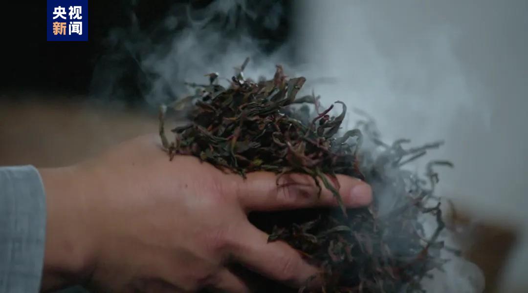 人与自然和谐共生 《记住乡愁》国际版即将播出