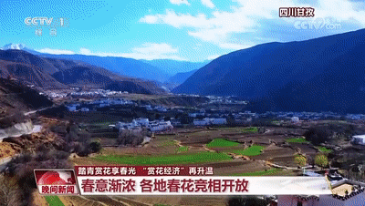 一起乘上开往春天的时光火车 穿越花海