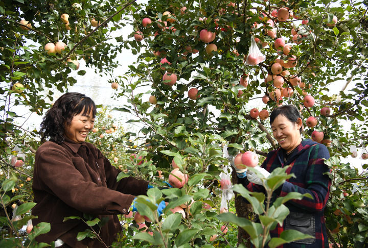 江山壮阔万象新——习近平总书记引领中国式现代化新征程
