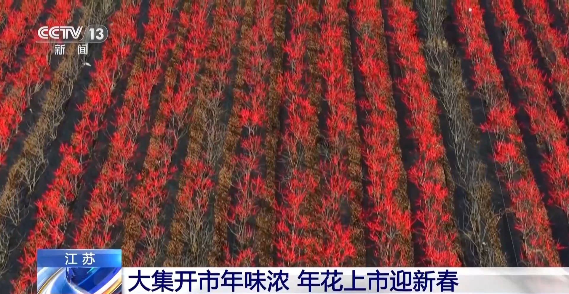 闹社火、赏花灯、逛大集 新春将至各地年味渐浓