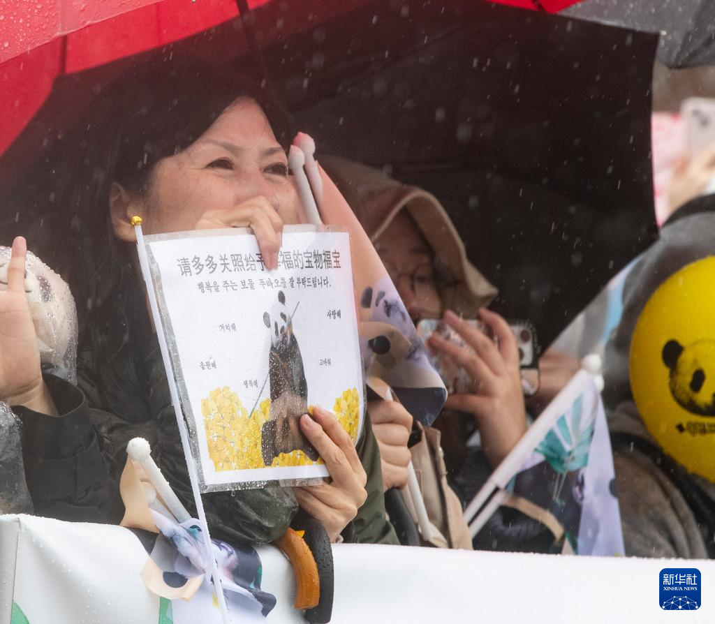 旅韩大熊猫“福宝”启程回国