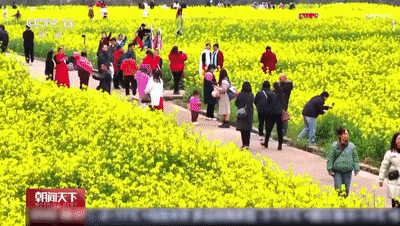 一起乘上开往春天的时光火车 穿越花海