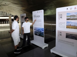 2026“古都文明对话”国际交流活动在开罗启幕