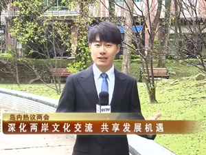 【海峡两岸】岛内热议两会：深化两岸文化交流  共享发展机遇