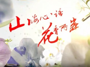 云南首部两岸花卉文旅微短剧《山海心语 花香两岸》（第八集）