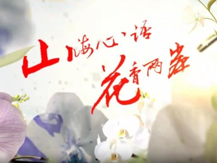 云南首部两岸花卉文旅微短剧《山海心语 花香两岸》（第八集）