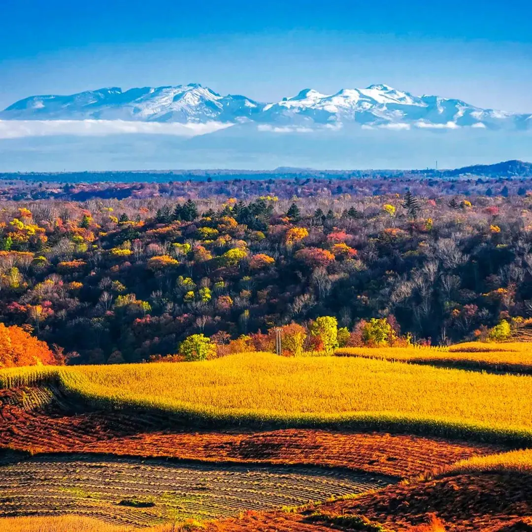 这条高铁近期特别火!除了美景还有不能“辜负”的美食 这条高铁近期特别火!除了美景还有不能“辜负”的美食