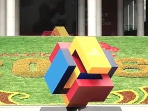 7个全新项目首次登场 一生仅能参赛一次的世赛怎么比？