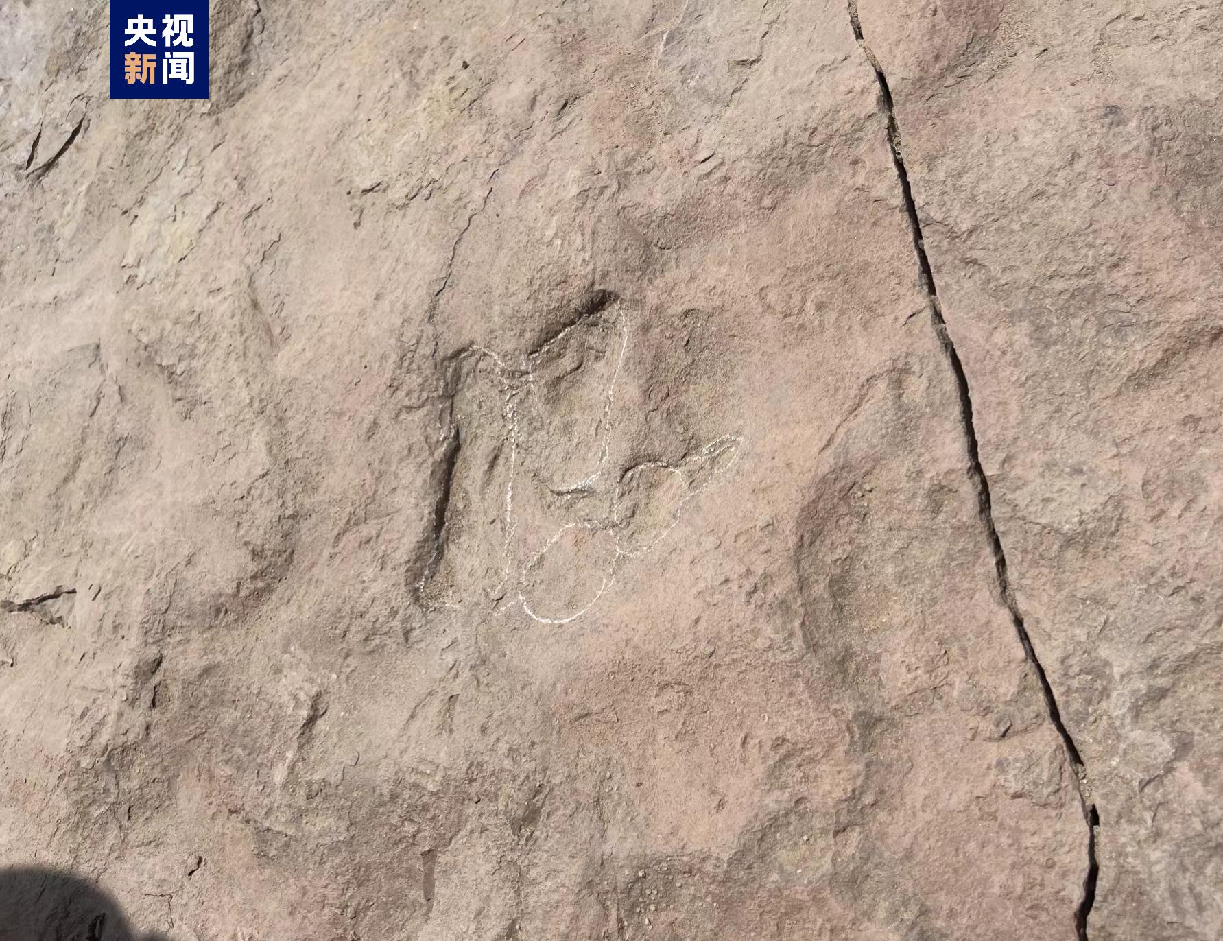 甘肃临夏新发现白垩纪微小型恐龙足迹化石 属中国西北首次 甘肃临夏新发现白垩纪微小型恐龙足迹化石 属中国西北首次