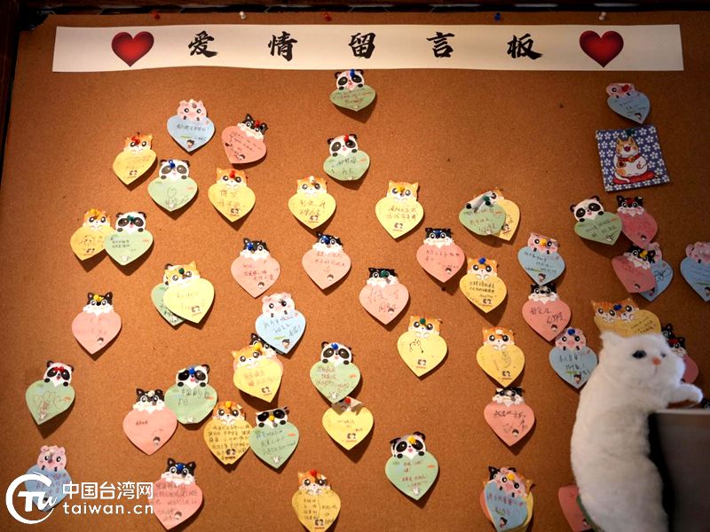 从卤肉饭到“月老墙” 台湾大伯伯的贵阳温情驿站