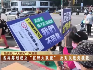 【海峡两岸】岛内反“大罢免”声浪高  各界筹划成立“在野大联盟”  反对民进党独裁