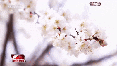 一起乘上开往春天的时光火车 穿越花海