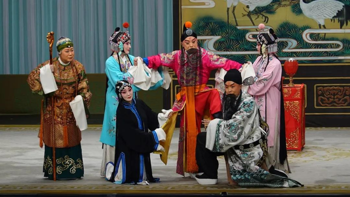 台湾观众“我们都爱陈丽君”背后