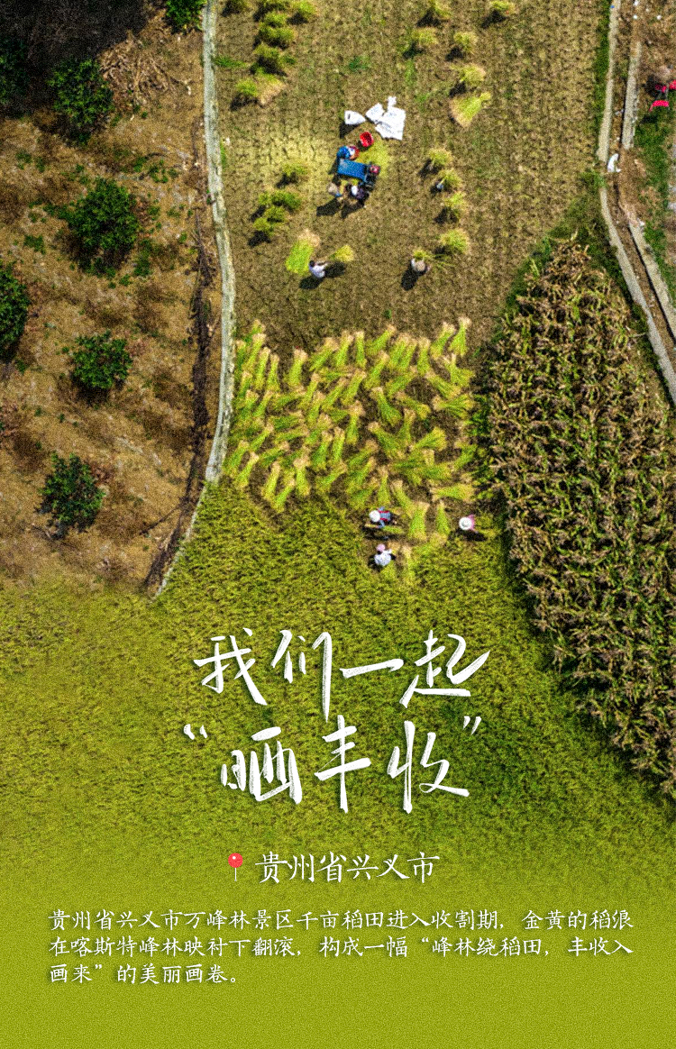 稻花香里说丰年！高清大图邀您共赏华夏“丰”光