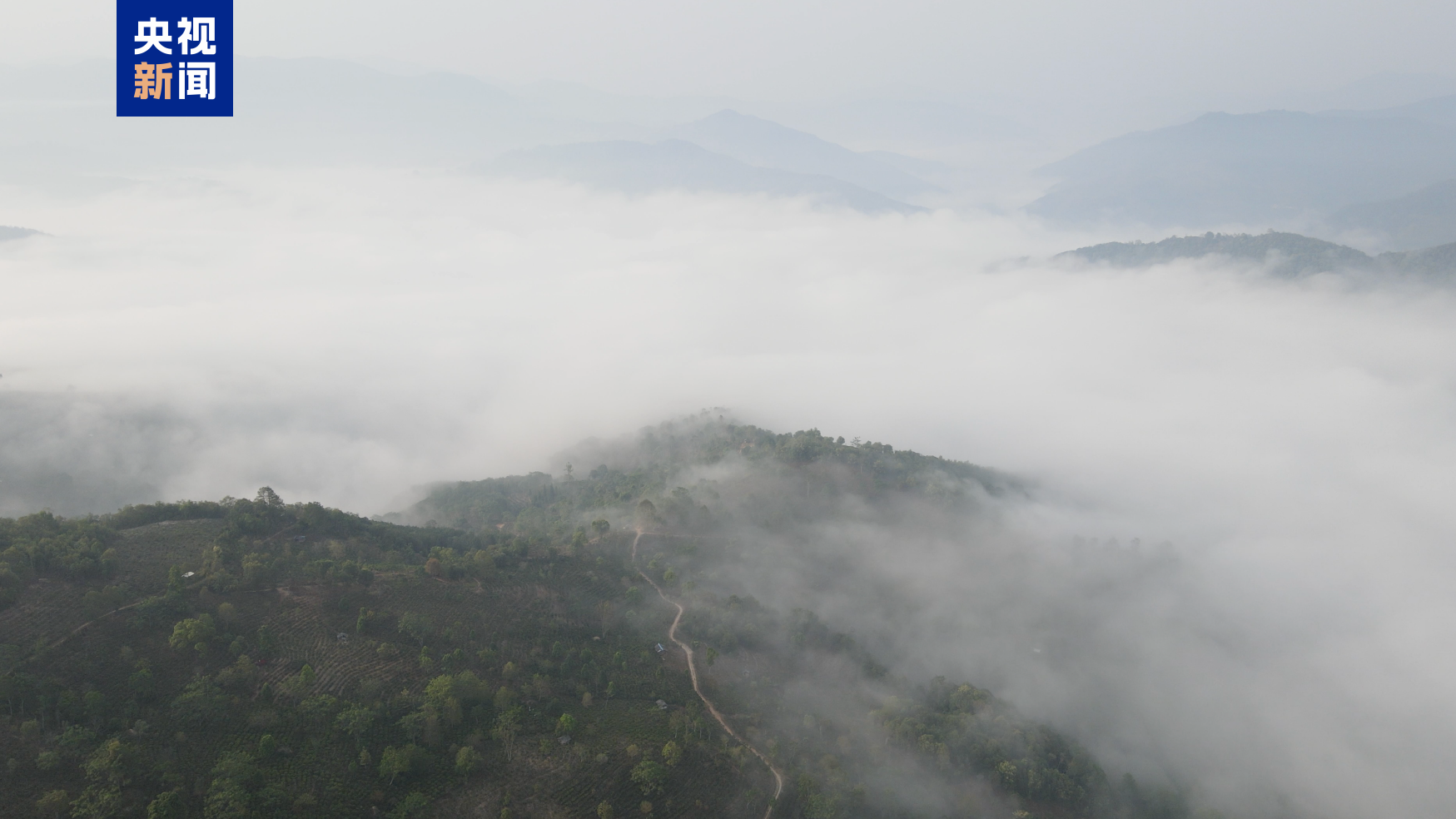 世界遗产地普洱景迈山10月1日起试行免费预约入园