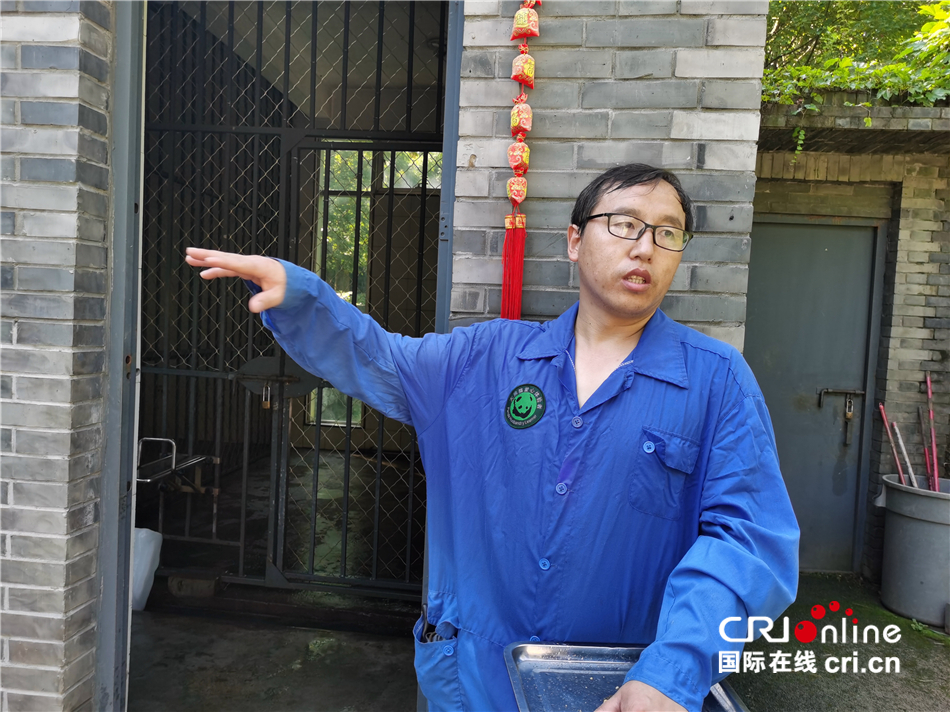 大熊猫“希梦”的悠闲老年生活