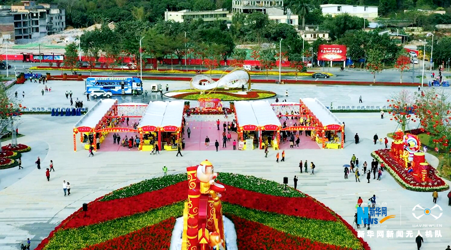 “年味”渐浓 无人机带你逛花市