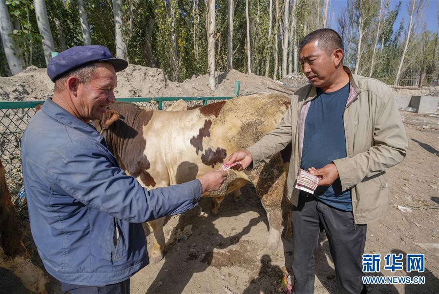 旗引天山南北　谱写发展新篇——以习近平同志为核心的党中央关心新疆工作纪实