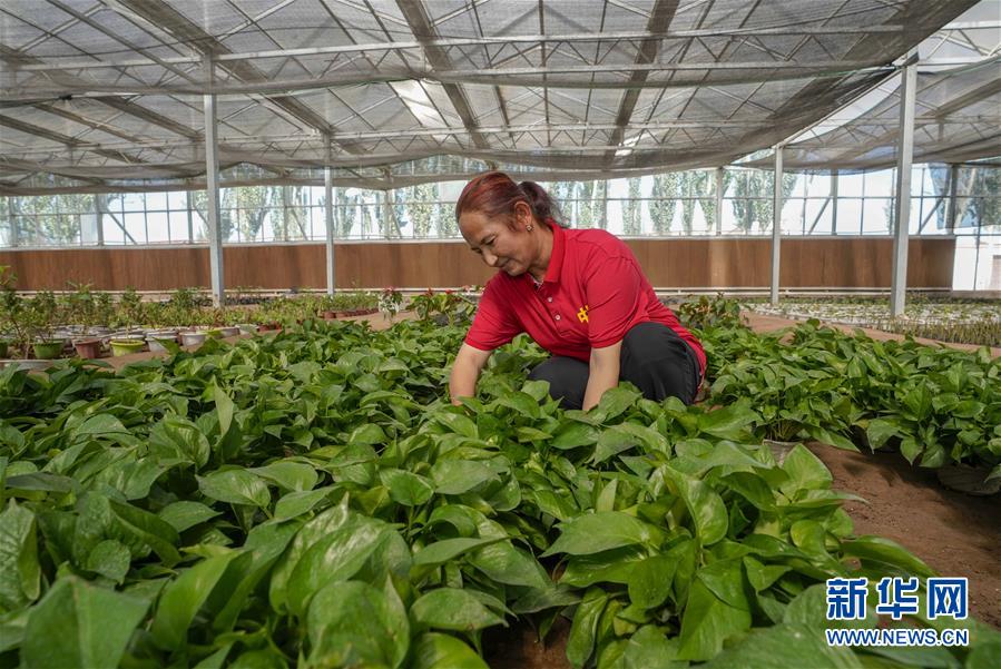 旗引天山南北　谱写发展新篇——以习近平同志为核心的党中央关心新疆工作纪实