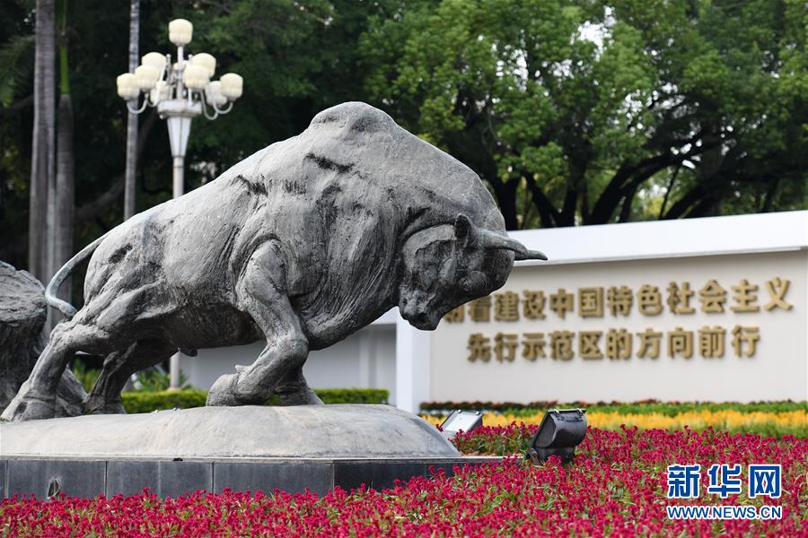 创造新时代中国特色社会主义的更大奇迹——以习近平同志为核心的党中央关心经济特区发展纪实