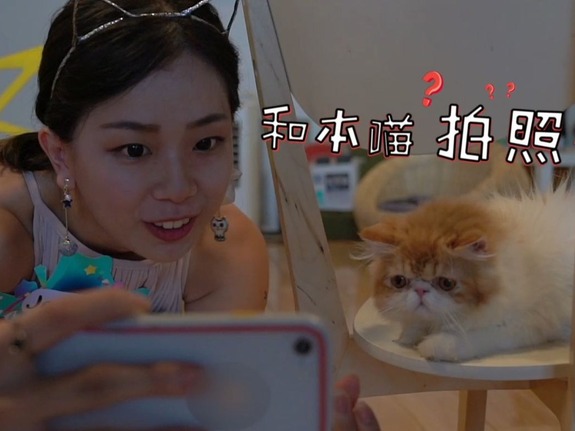 【两岸青年派（第二季）】萌化，“拍猫”大比拼
