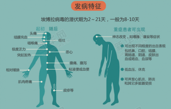 [掃盲貼]圖解埃博拉病毒