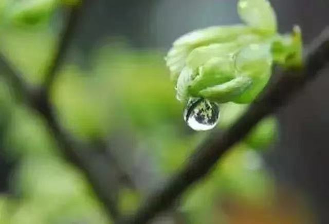 今日雨水，这个节气有多美？都在诗词里！