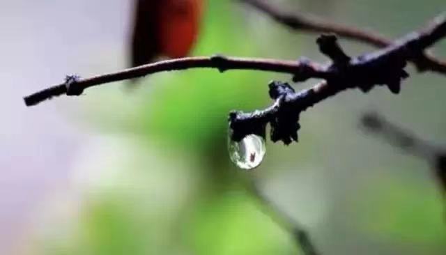 今日雨水，这个节气有多美？都在诗词里！